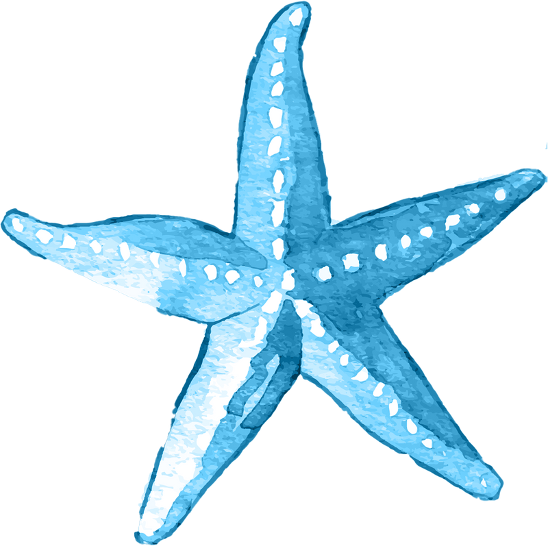 Starfish